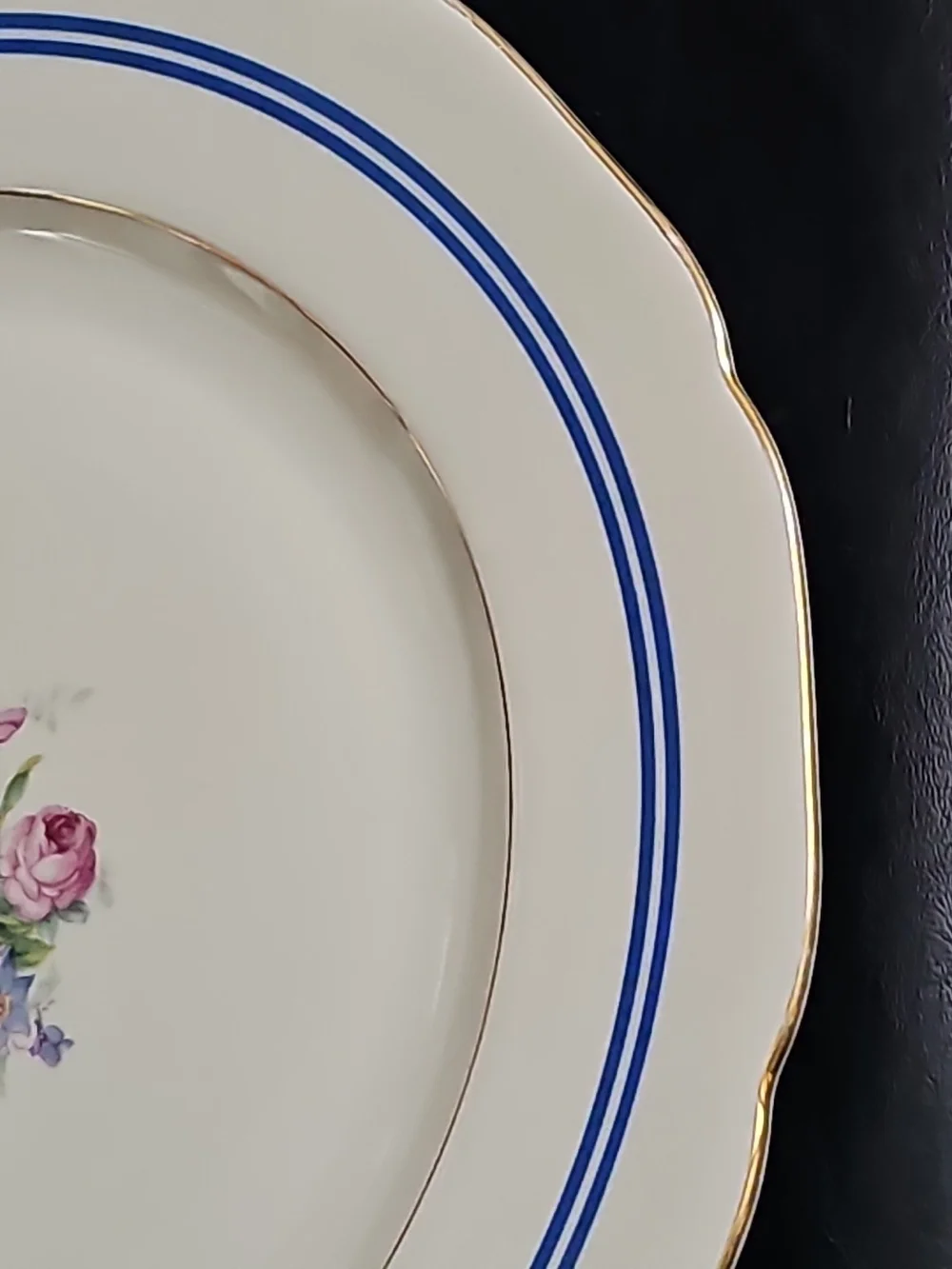 Vintage Royal EPIAG Czechoslovakia Classic Floral 10